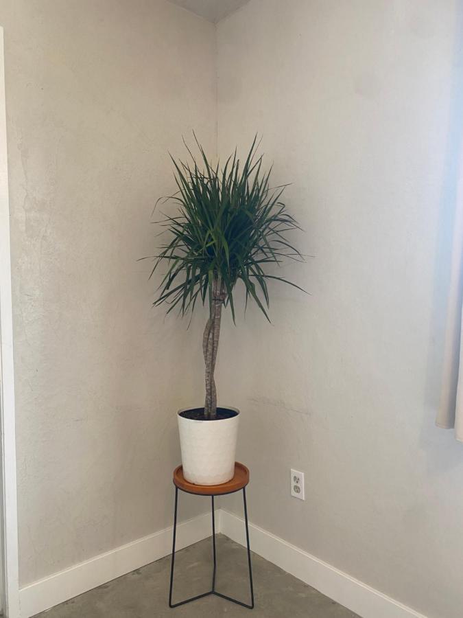 Casa Del Desierto - Panoramic Views - Pet Friendly - Fire Pit Βίλα Joshua Tree Εξωτερικό φωτογραφία